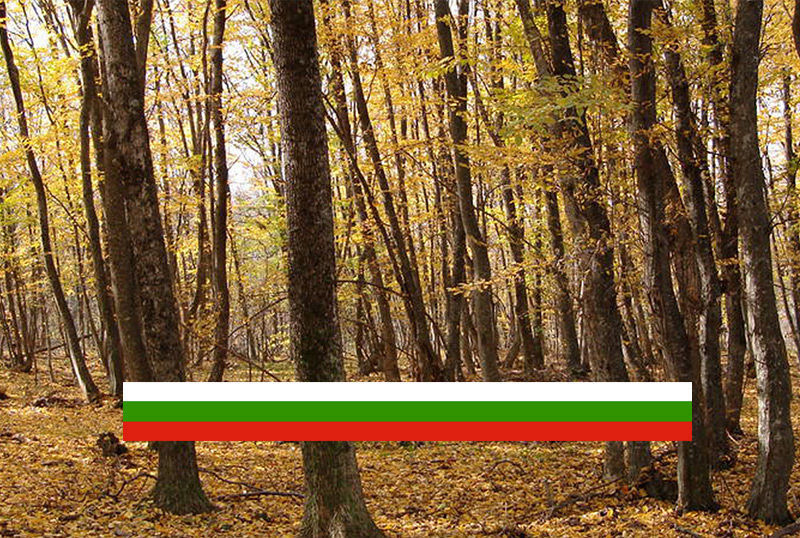 caccia in Bulgaria International Hunting