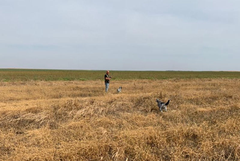 caccia in Romania International Hunting